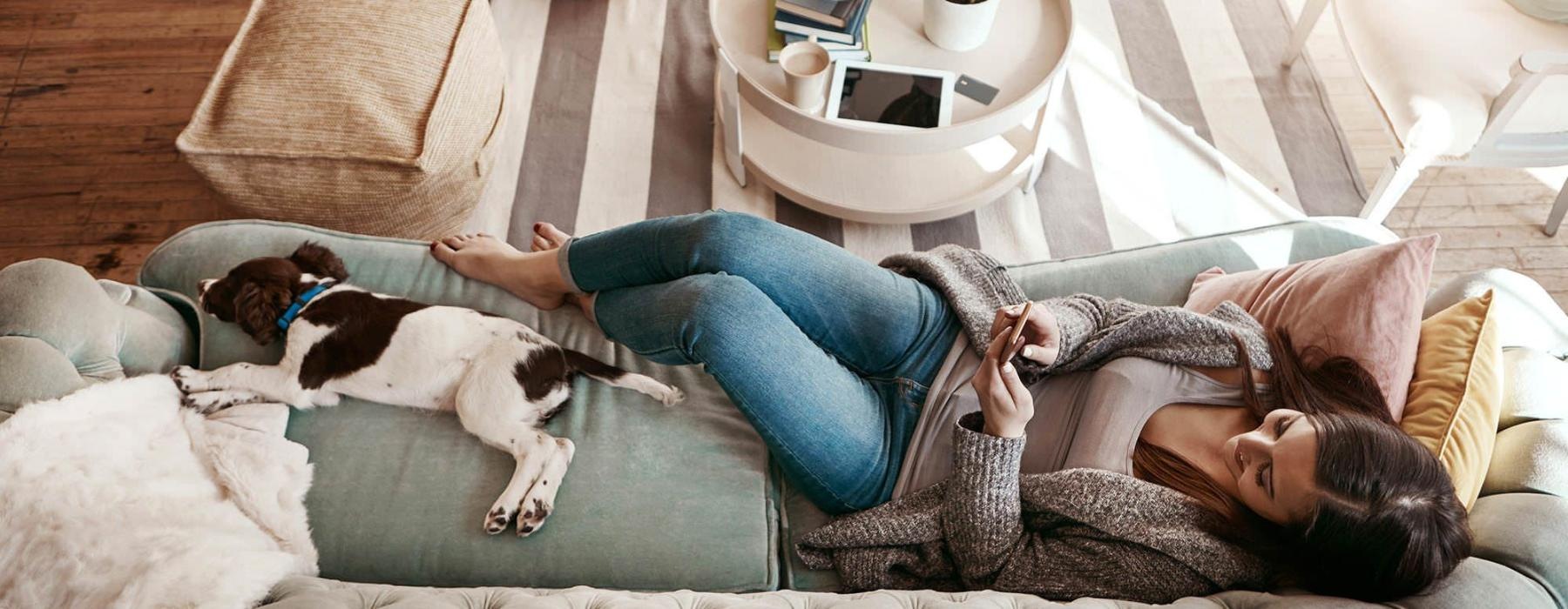 overhead view of  a woman texting as she lies on a couch with a dog at her feet
